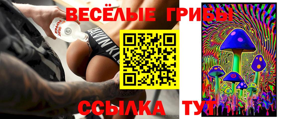 Псилоцибиновые грибы MAGIC MUSHROOMS  Вход с VPN  что такое   Галлюциногенные грибы MAGIC MUSHROOMS  Кыштым 